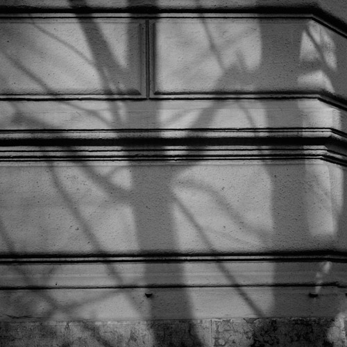 Shadow of trees on old building, Budapest.